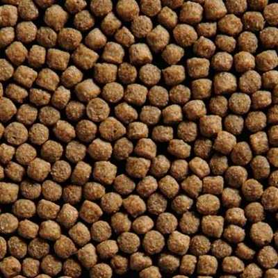 корм для рыб coppens wheat germ 15 кг Coppens (Нидерланды) корм для прудовых рыб