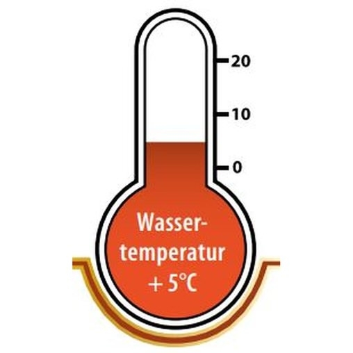 Корм для Кои Hikari Wheat-Germ Sinking тонущий 0.5 kg
