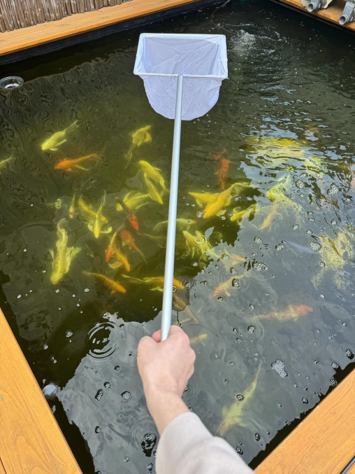 Сачок для пруда Superfish Pond Net Promo 25х20х100 см