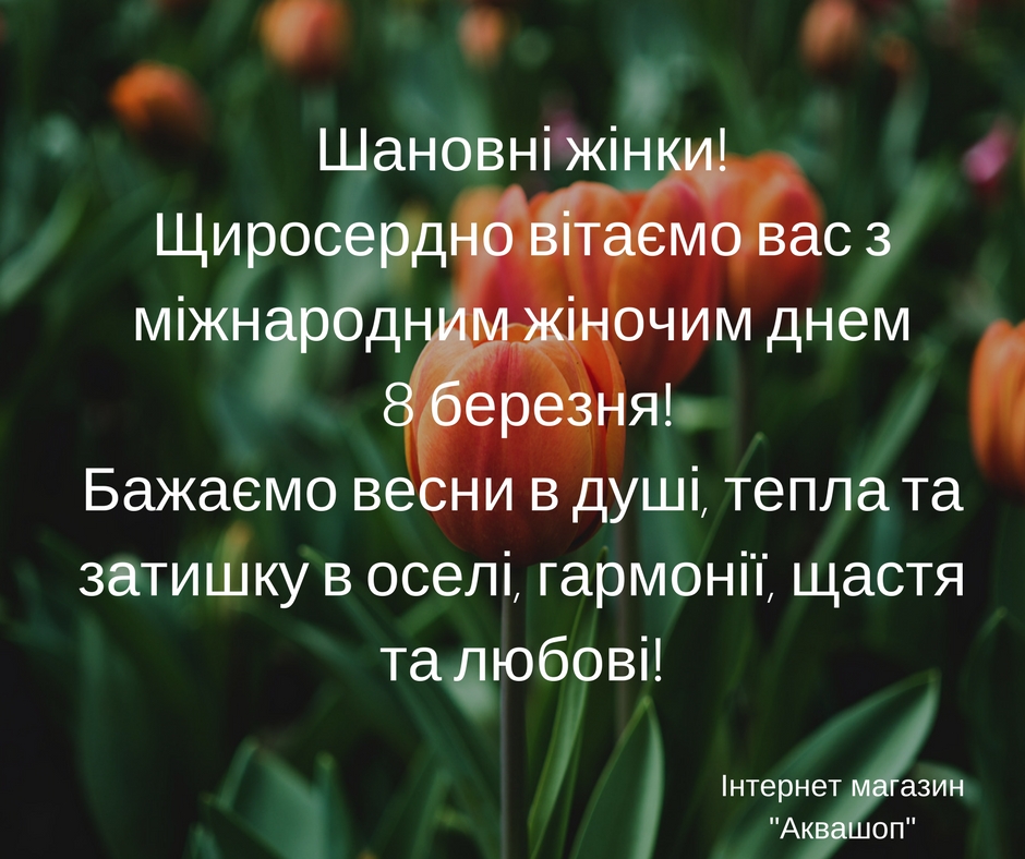 bloom Вітаємо із 8 березня - Интернет магазин Аквашоп