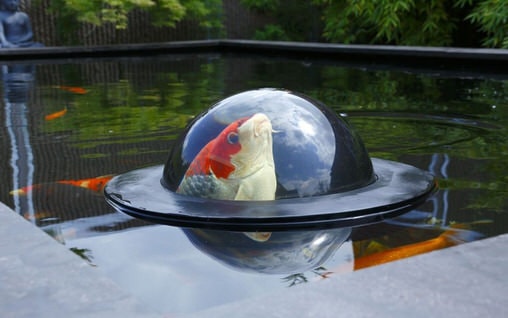 VELDA-FLOATING-FISH-POND-DOME_8 Плавающий купол для рыб Velda Floating Fish Dome (L), 878372 - Интернет магазин Аквашоп