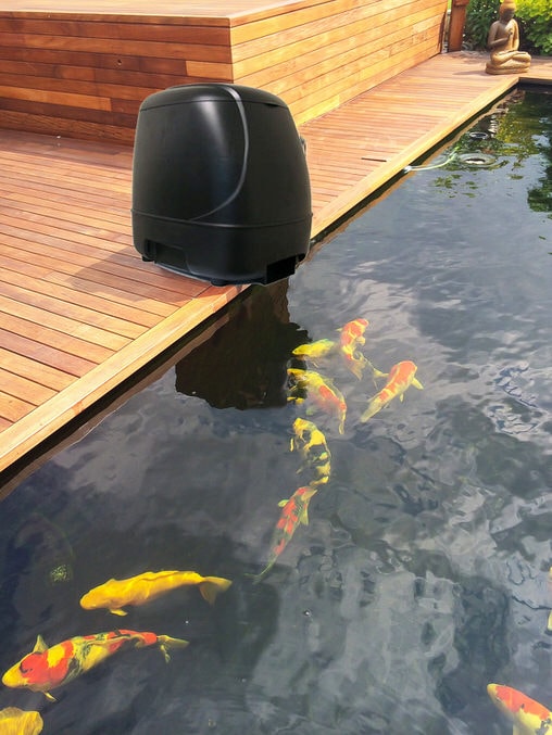 SuperFish-Koi-Feeder_5 Автоматичні годівниці для риб виробника SuperFish (Нідерланди) &mdash; Інтернет магазин Аквашоп
