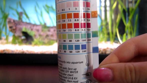maxresdefault Купити експрес-тест Velda Aqua Test Strips 6 in 1 - Інтернет магазин Аквашоп