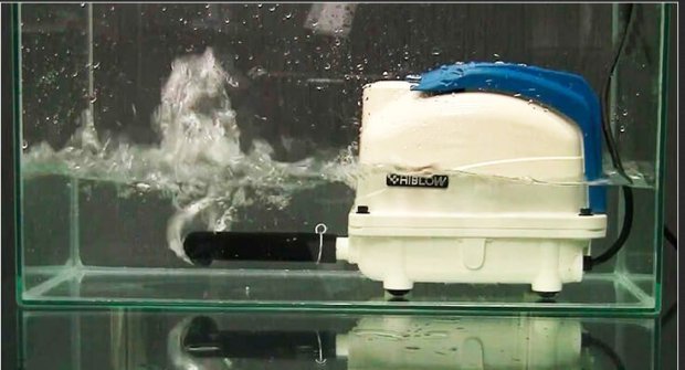 Hiblow-P-80_31 Купити компресор для ставка HIBLOW XP-60 - Інтернет магазин Аквашоп