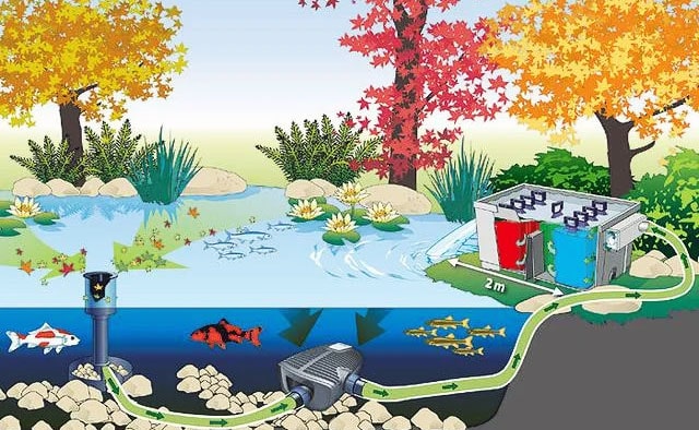 OASE-AquaSkim-20_31 Купить скиммер для пруда OASE AquaSkim 20 - Интернет магазин Аквашоп